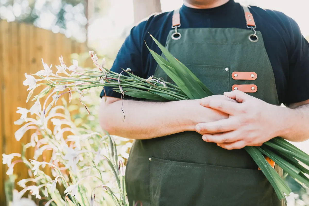Alex Abel in a green canvas apron, holding an armful of white gladiolus